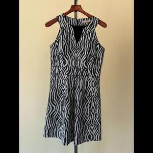 Banana Republic Heritage Zebra Print Dress Sleeveless Empire V-neck Lined Size 8